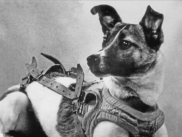 Sputnik 2 โ Laika
